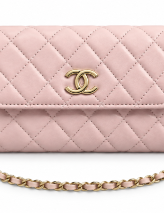 Chanel Chain Bag (Boxless)